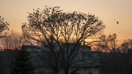 DSC06598_s.